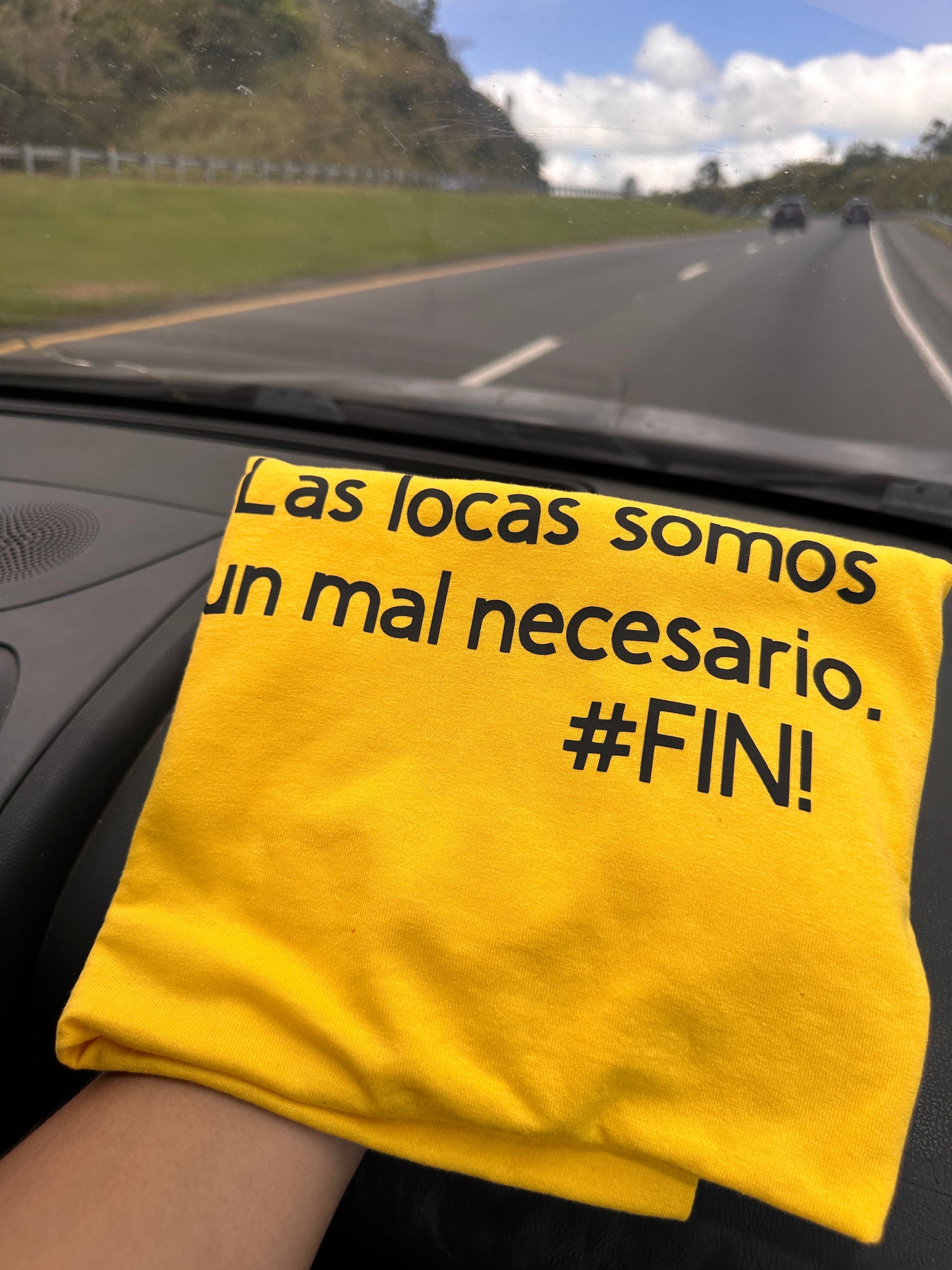 Las Locas Somos Un Mal Necesario T-shirt