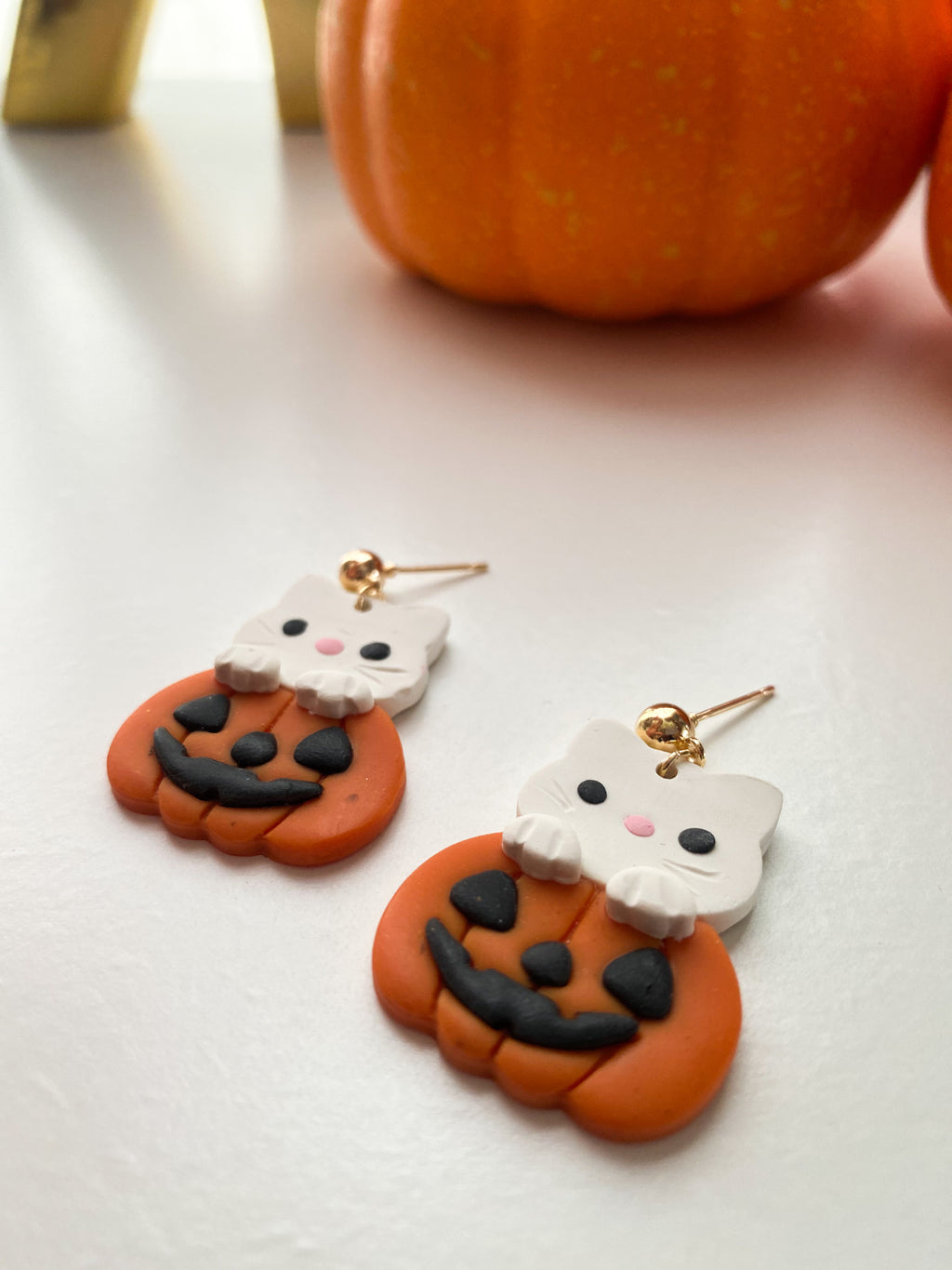 Cat in Pumpkin